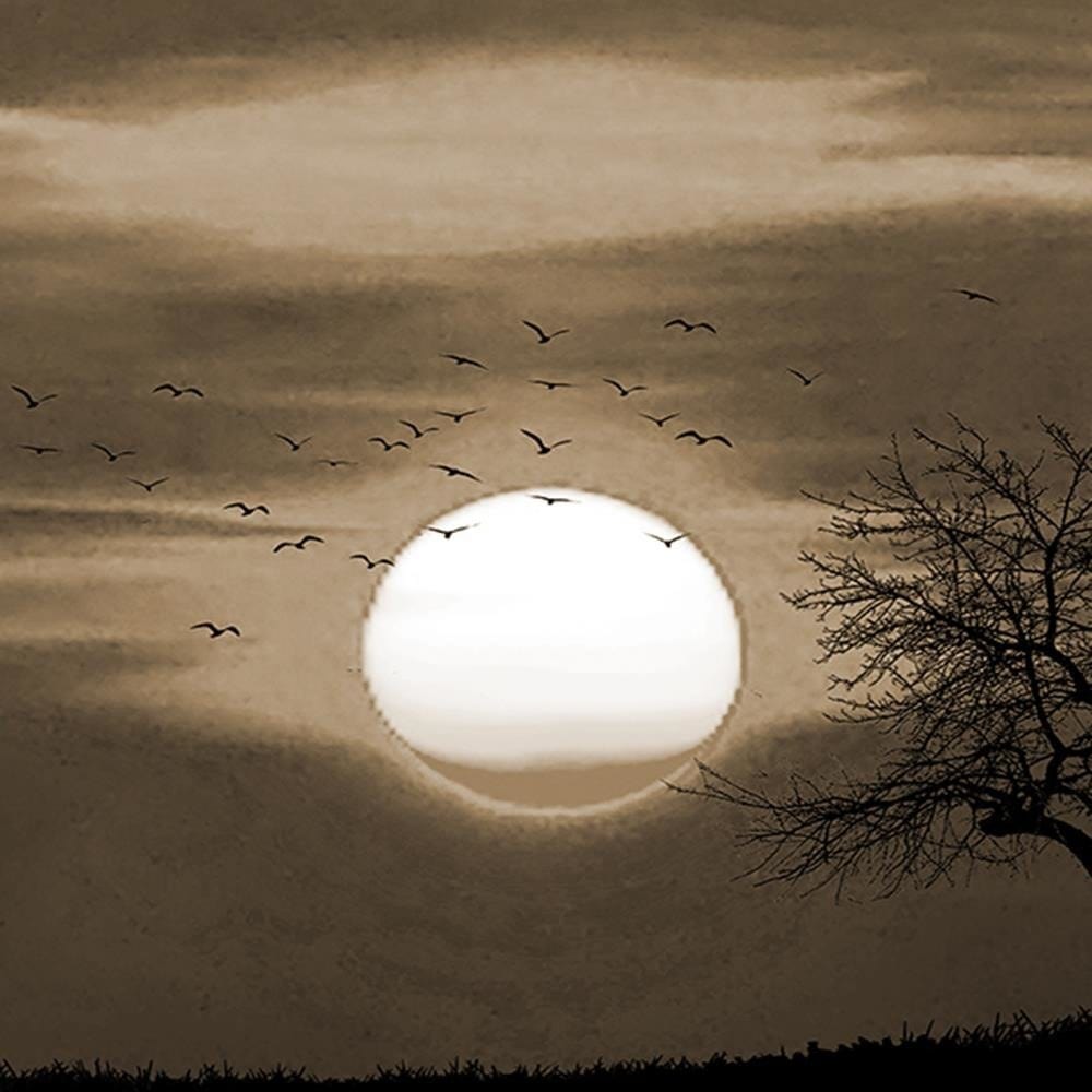 Glezna baltā rāmī - Birds At Sunset 1  Home Trends DECO