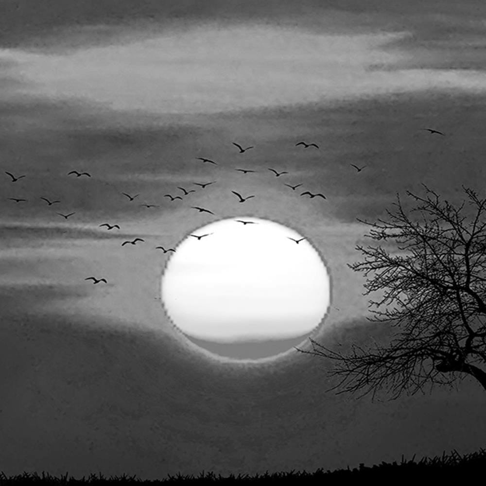 Glezna baltā rāmī - Birds At Sunset 2  Home Trends DECO