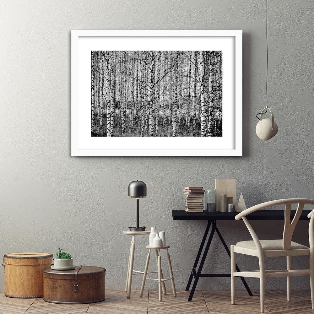 Glezna baltā rāmī - Black And White Birch  Home Trends DECO