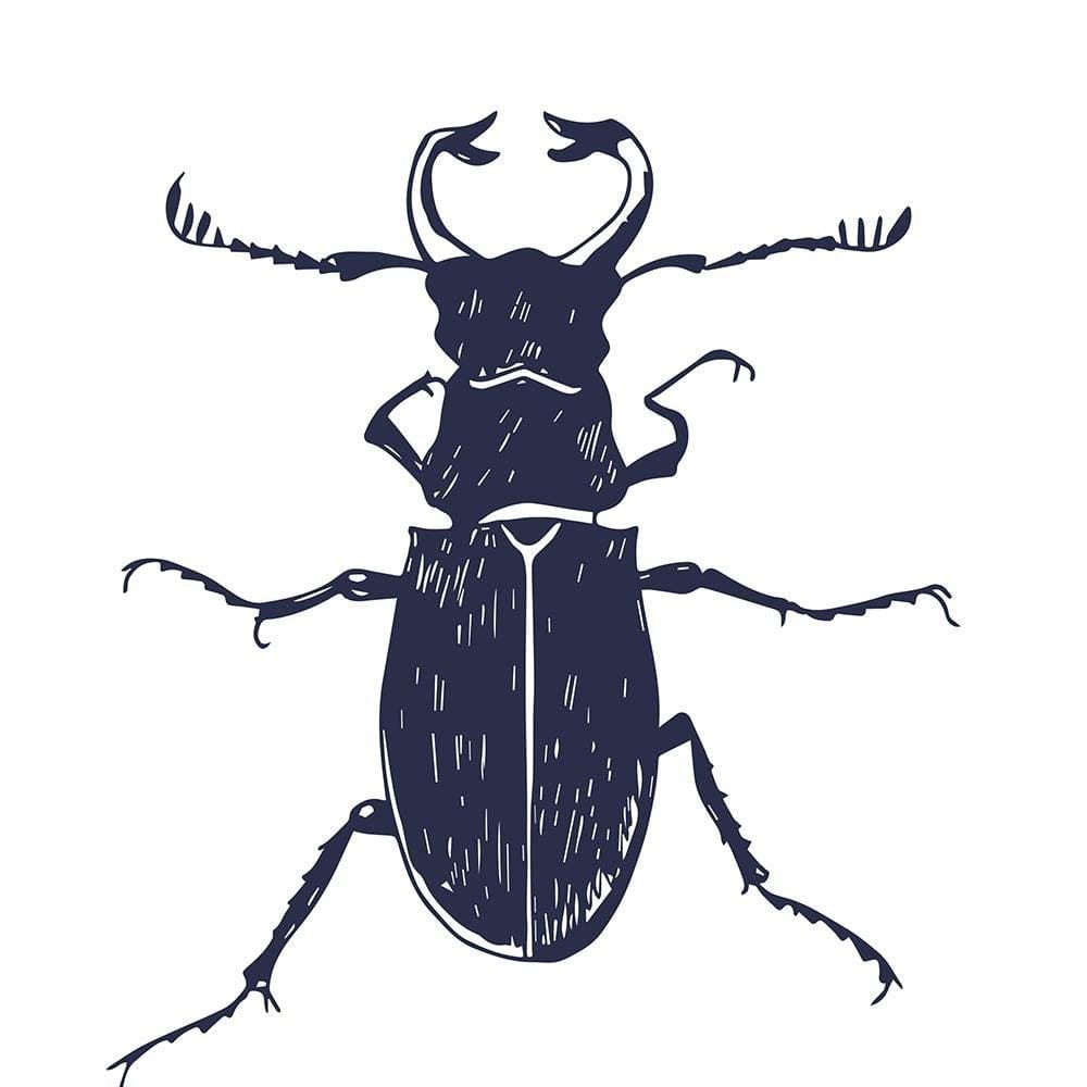 Glezna baltā rāmī - Black Beetle  Home Trends DECO
