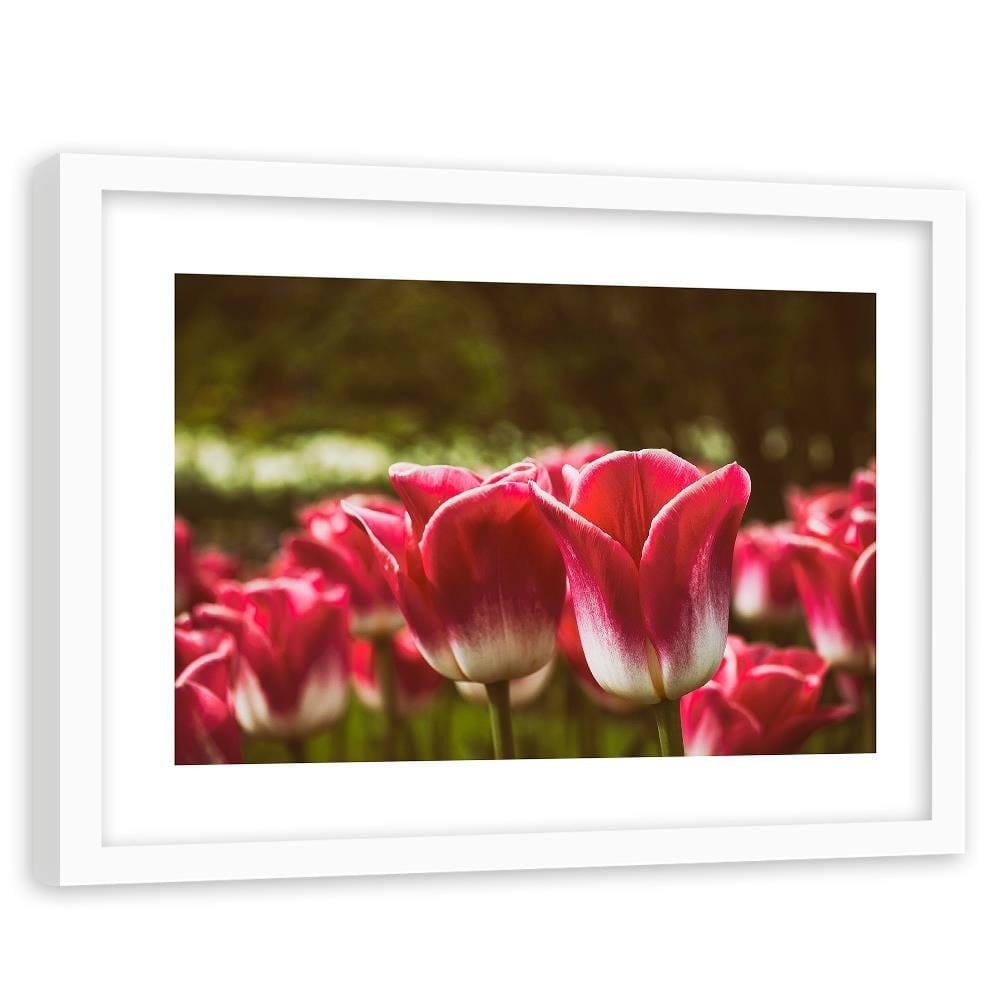 Glezna baltā rāmī - Blooming Tulip  Home Trends DECO