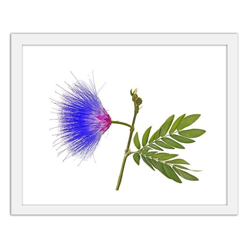 Glezna baltā rāmī - Blue and pink flower  Home Trends DECO