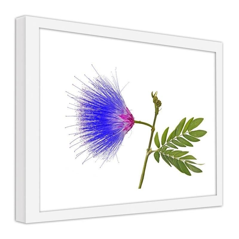 Glezna baltā rāmī - Blue and pink flower  Home Trends DECO