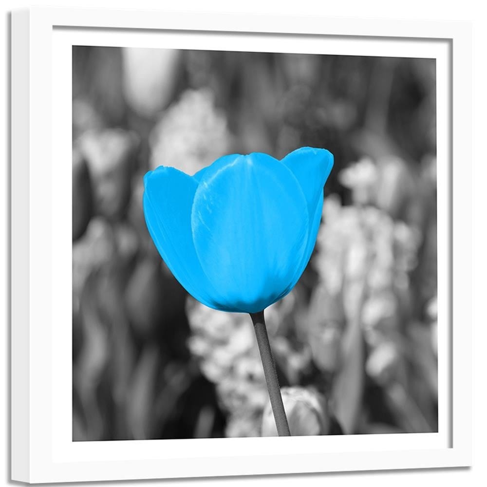 Glezna baltā rāmī - Blue Tulip  Home Trends DECO