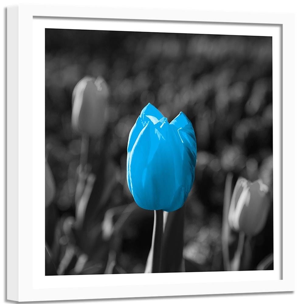 Glezna baltā rāmī - Blue Tulip In Gray  Home Trends DECO