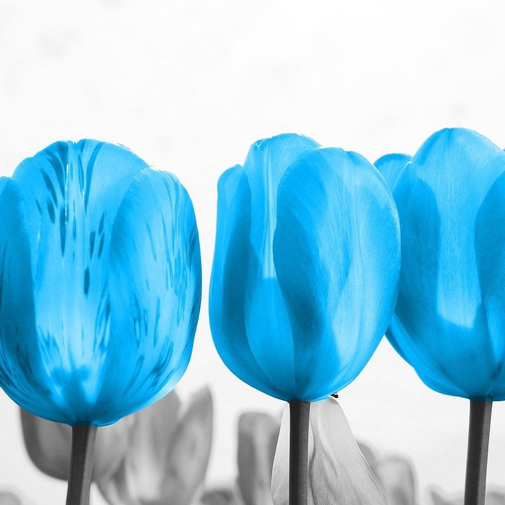 Glezna baltā rāmī - Blue Tulips  Home Trends DECO