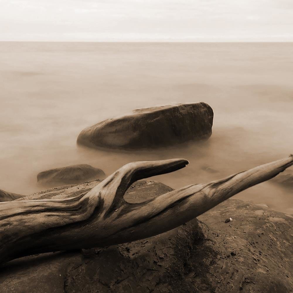Glezna baltā rāmī - Branch On The Stone 1  Home Trends DECO