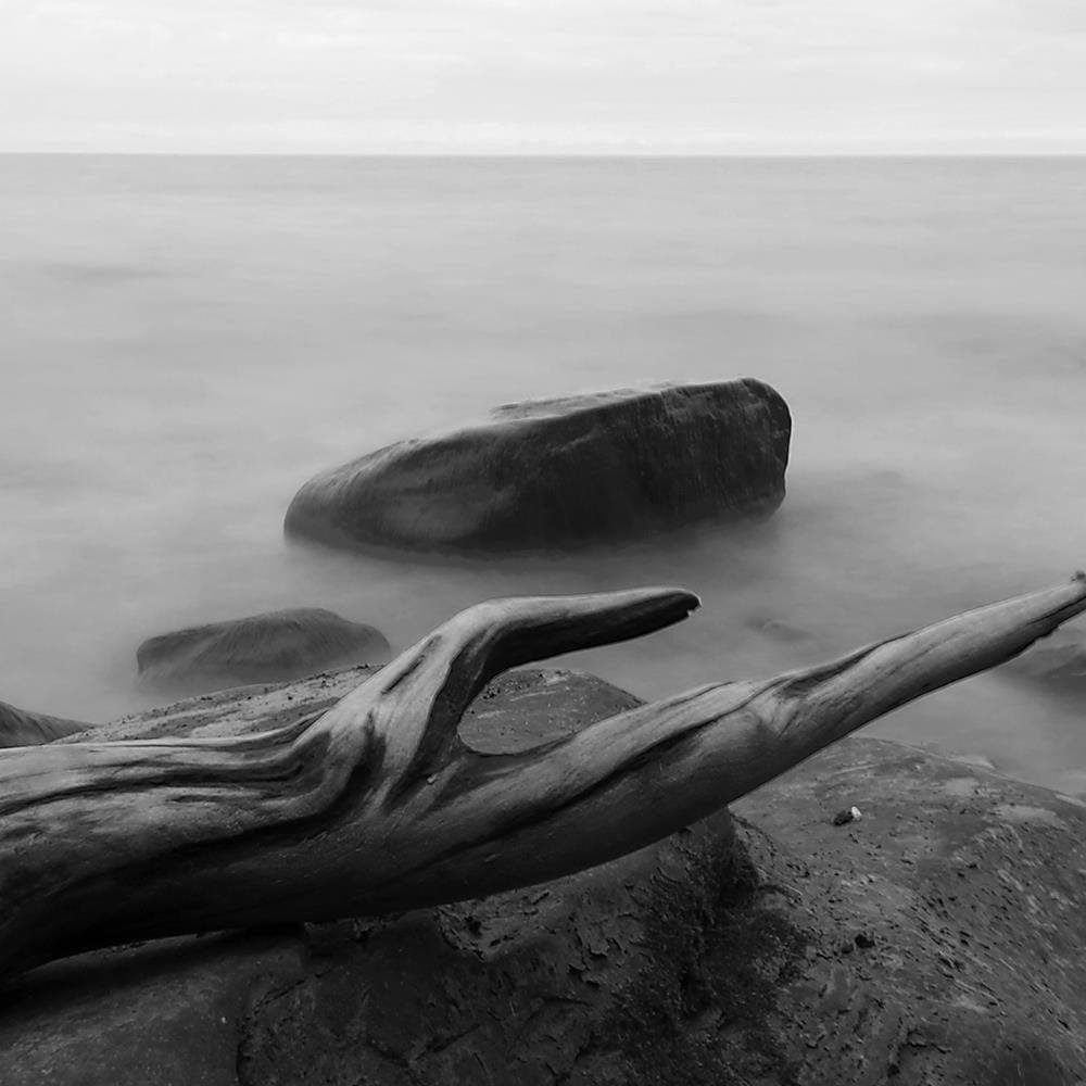 Glezna baltā rāmī - Branch On The Stone 2  Home Trends DECO