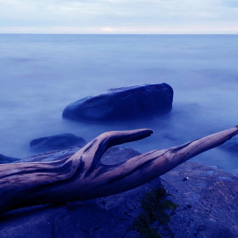 Glezna baltā rāmī - Branch On The Stone 3  Home Trends DECO