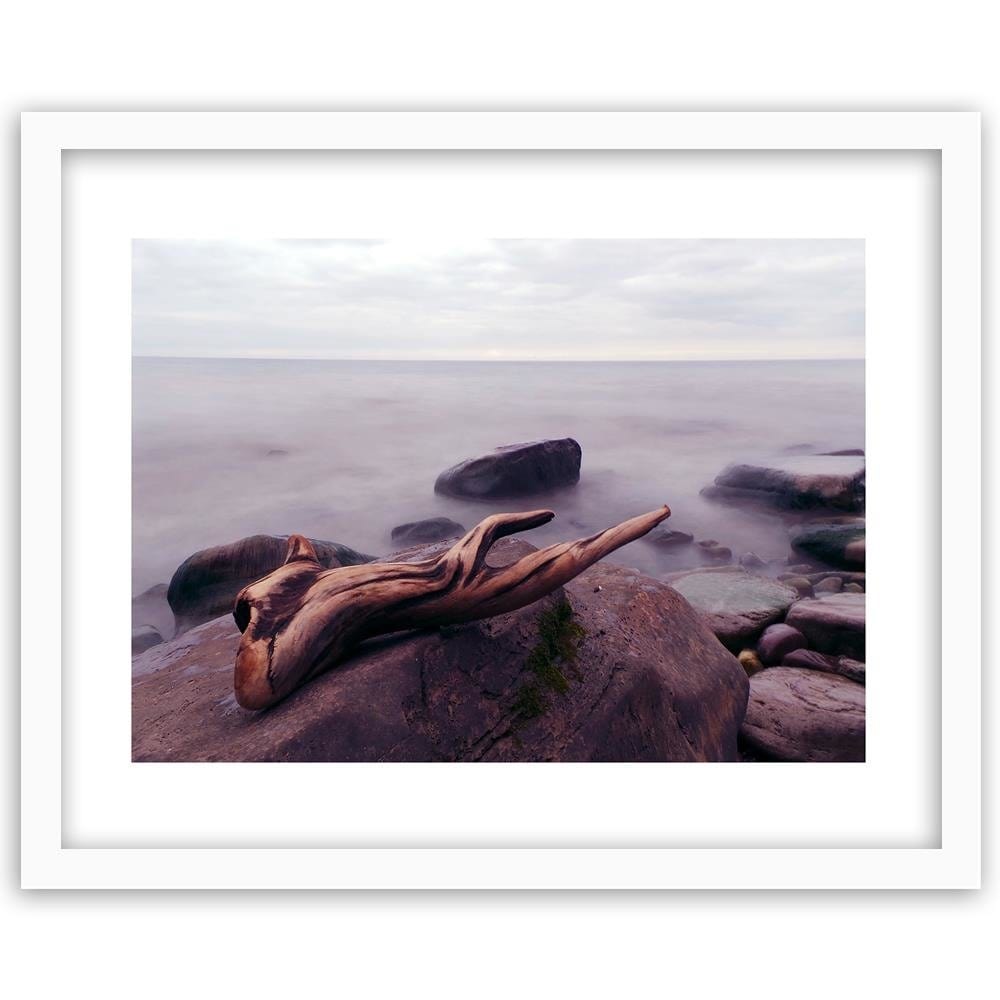 Glezna baltā rāmī - Branch On The Stone  Home Trends DECO