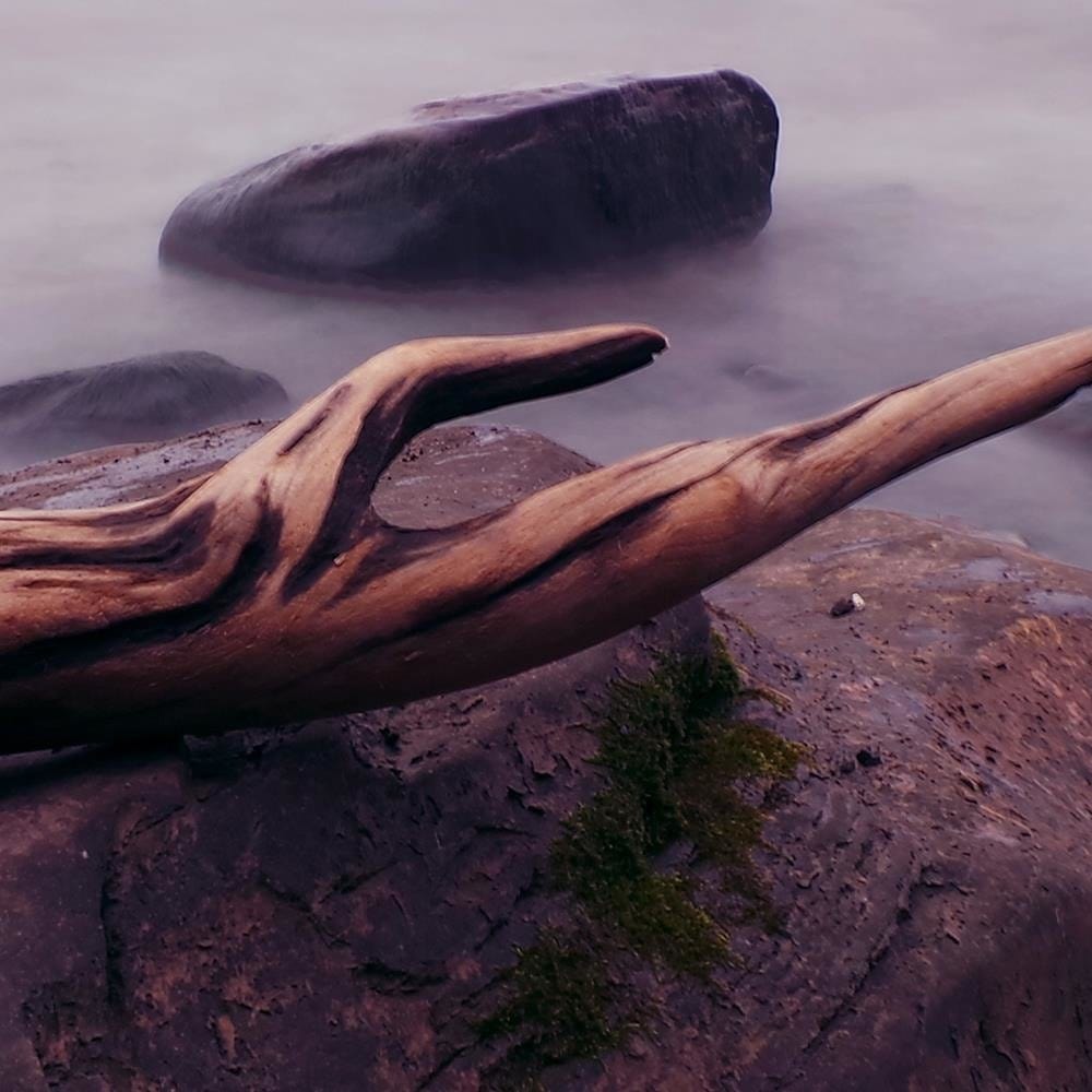 Glezna baltā rāmī - Branch On The Stone  Home Trends DECO