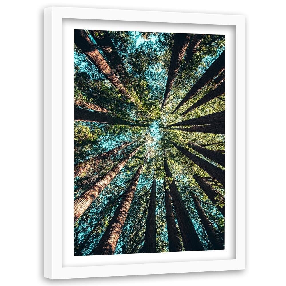 Glezna baltā rāmī - Branches Of Tall Trees  Home Trends DECO