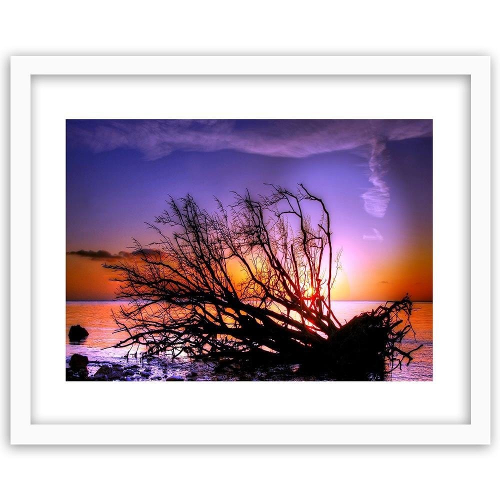 Glezna baltā rāmī - Broken Tree In The Sea  Home Trends DECO