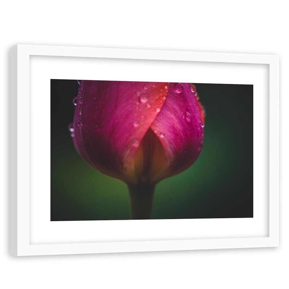 Glezna baltā rāmī - Bud And Dew  Home Trends DECO