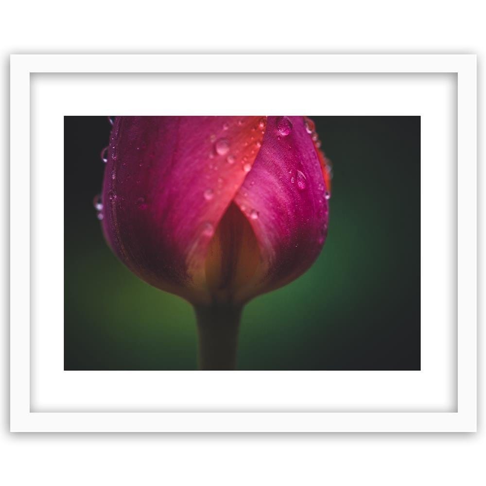 Glezna baltā rāmī - Bud And Dew  Home Trends DECO