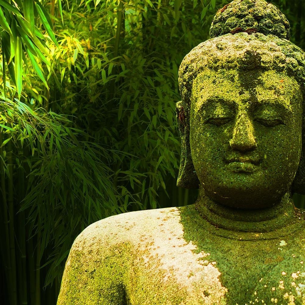 Glezna baltā rāmī - Buddha 4 Of Bamboos  Home Trends DECO