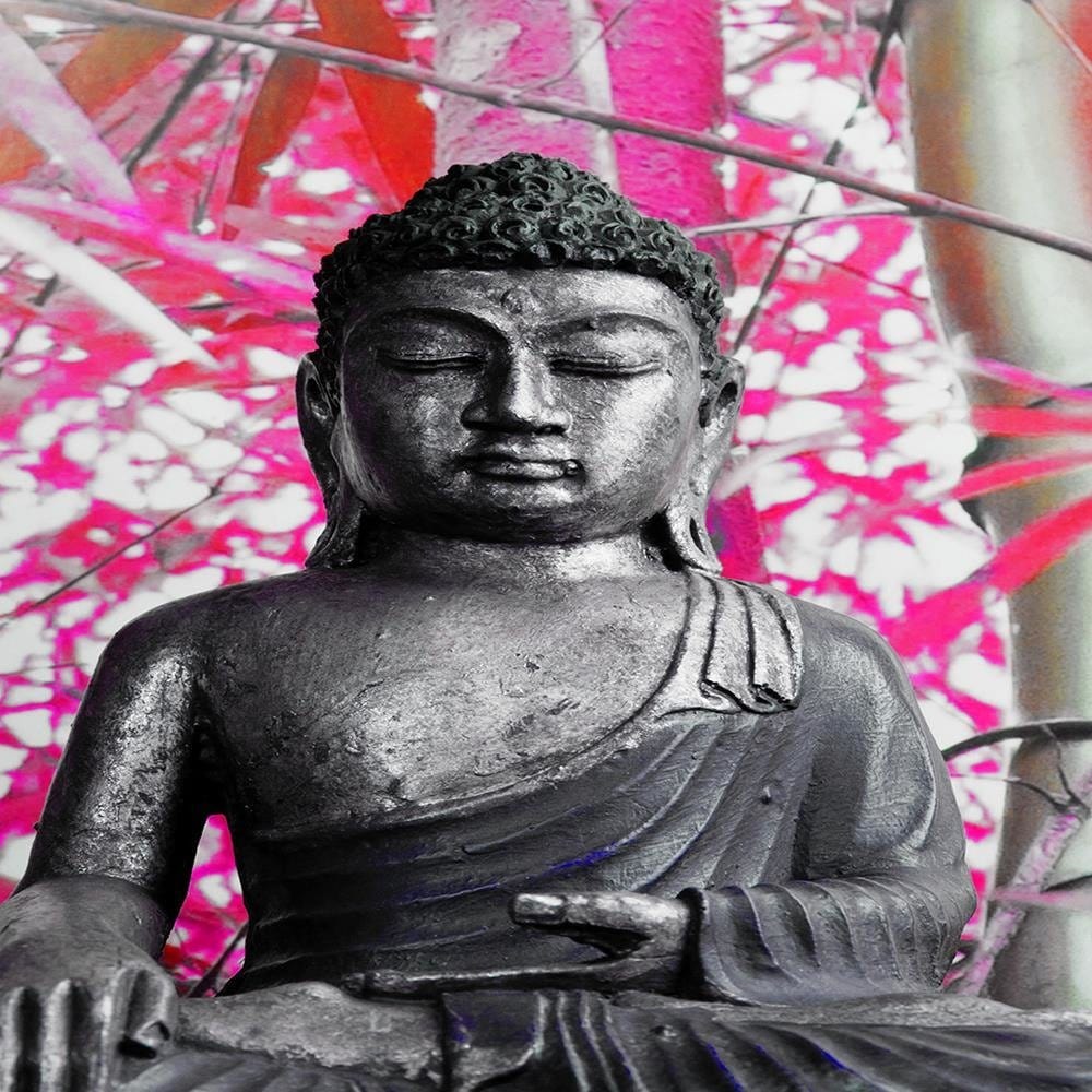 Glezna baltā rāmī - Buddha And Bamboo  Home Trends DECO