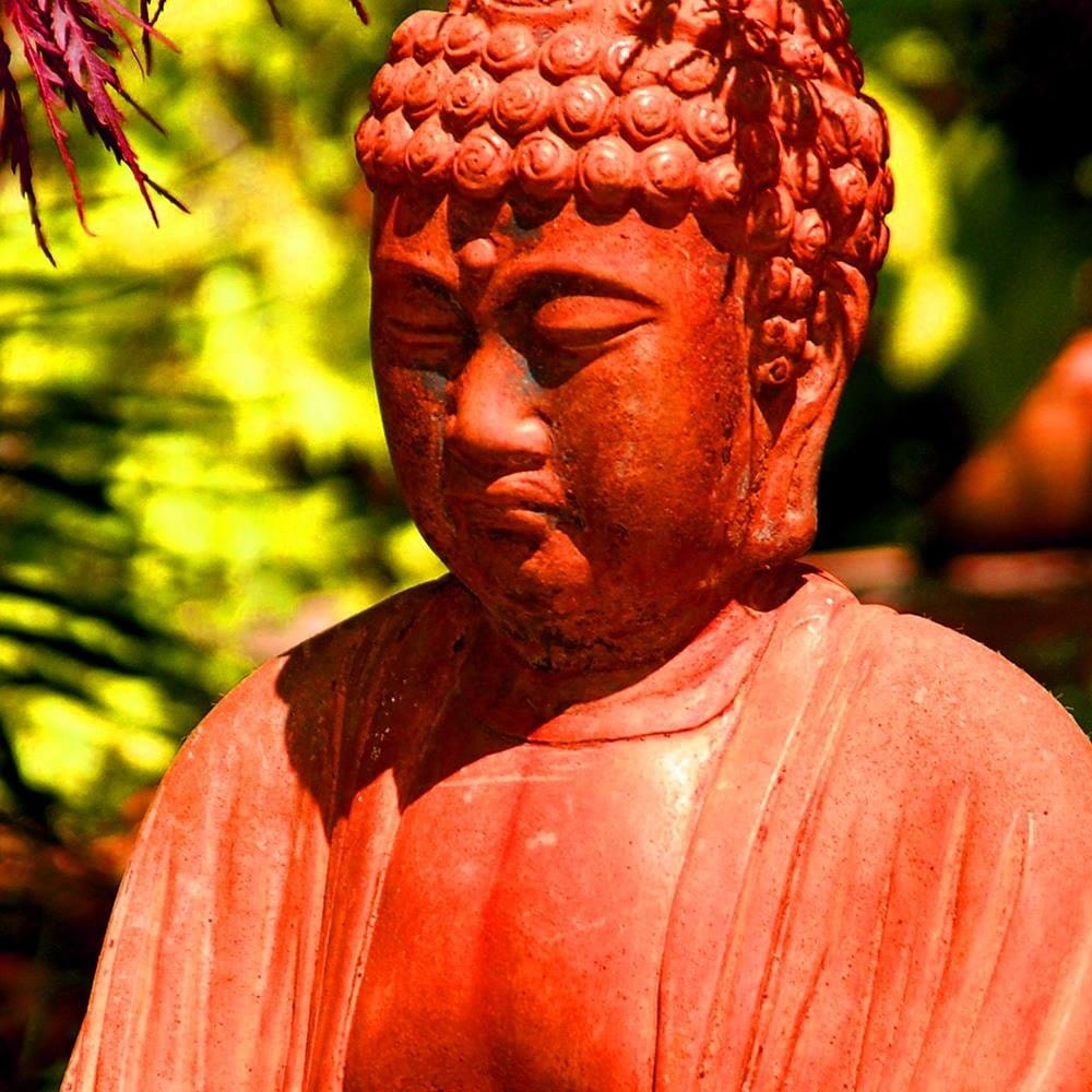 Glezna baltā rāmī - Buddha Between The Trees  Home Trends DECO