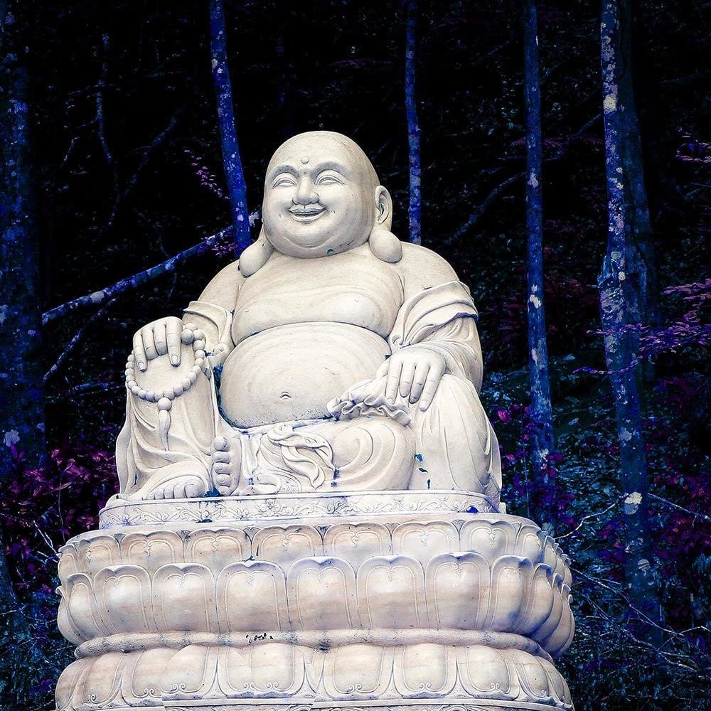 Glezna baltā rāmī - Buddha In The Forest  Home Trends DECO