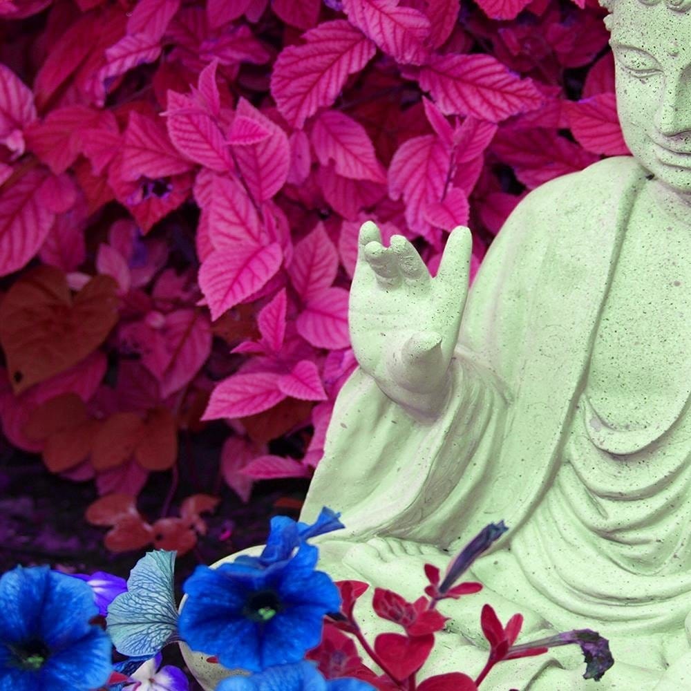 Glezna baltā rāmī - Buddha In The Garden  Home Trends DECO