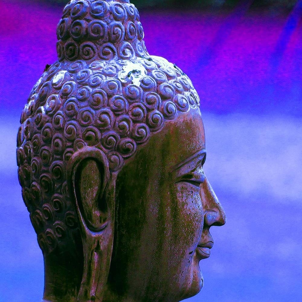 Glezna baltā rāmī - Buddha Profile  Home Trends DECO