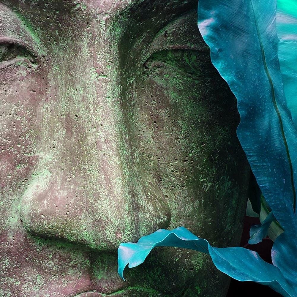 Glezna baltā rāmī - Buddha's Face With Leaf  Home Trends DECO