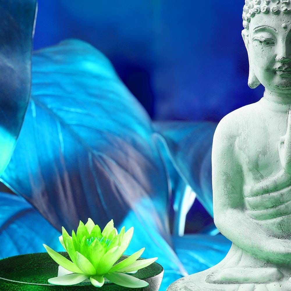 Glezna baltā rāmī - Buddha With Lily  Home Trends DECO