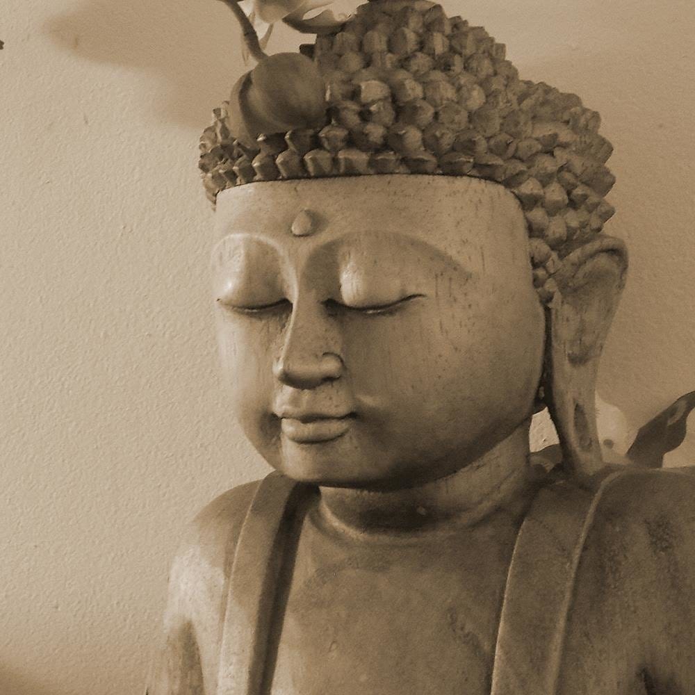 Glezna baltā rāmī - Buddha With Orchid  Home Trends DECO
