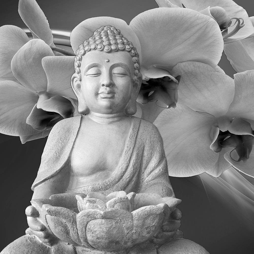 Glezna baltā rāmī - Buddha With Orchids  Home Trends DECO
