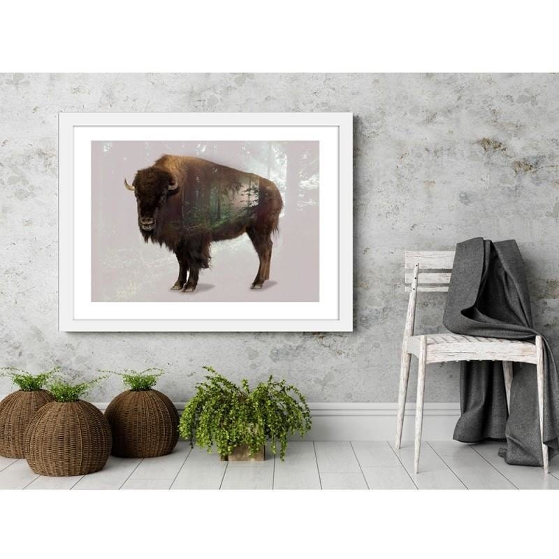 Glezna baltā rāmī - Buffalo  Home Trends DECO