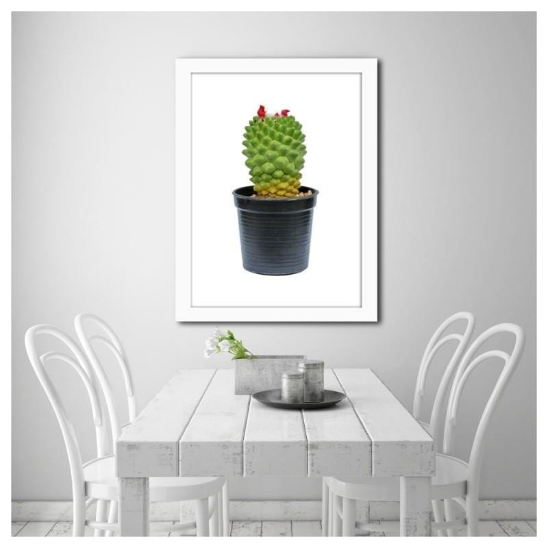 Glezna baltā rāmī - Cactus on white background  Home Trends DECO