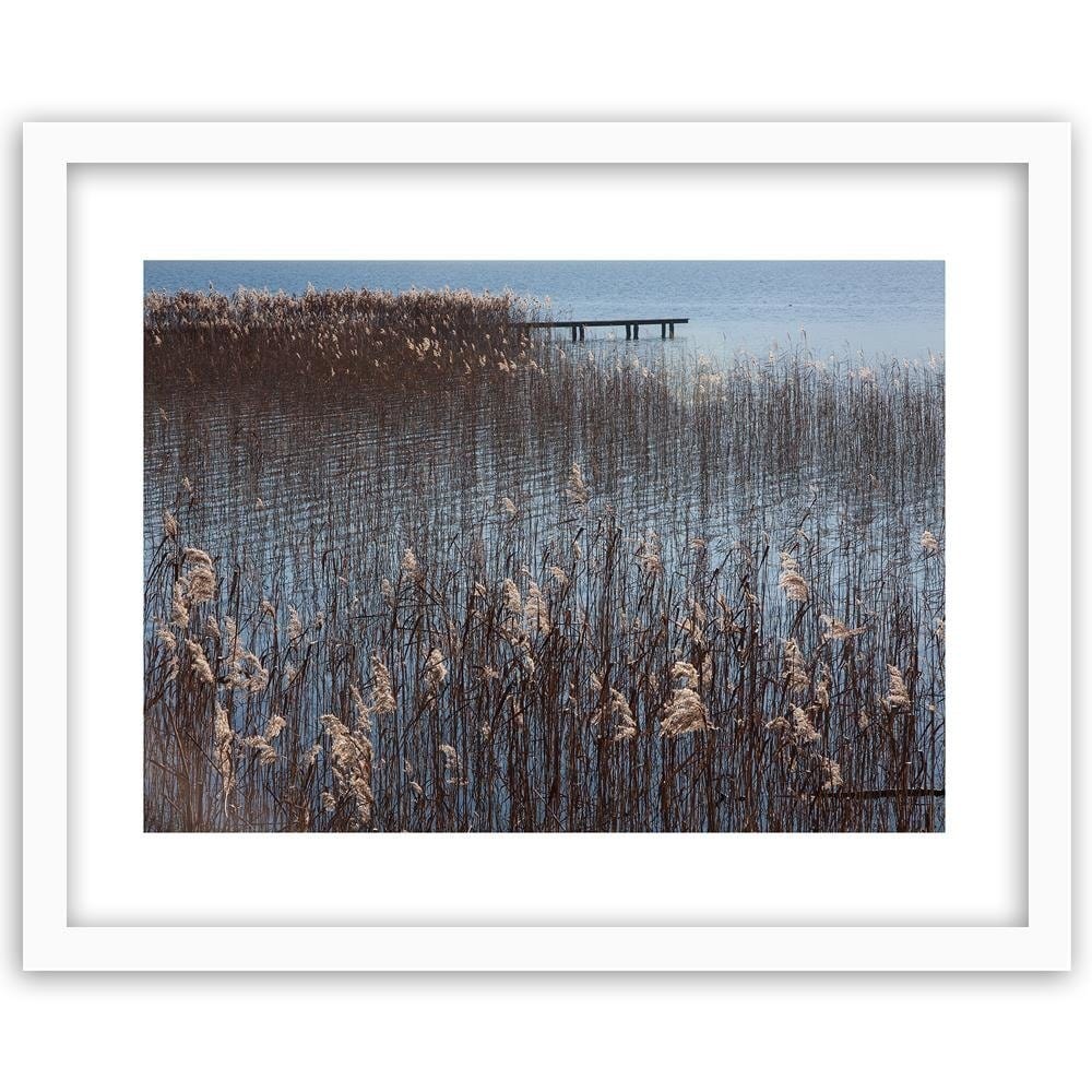 Glezna baltā rāmī - Cane Sea  Home Trends DECO