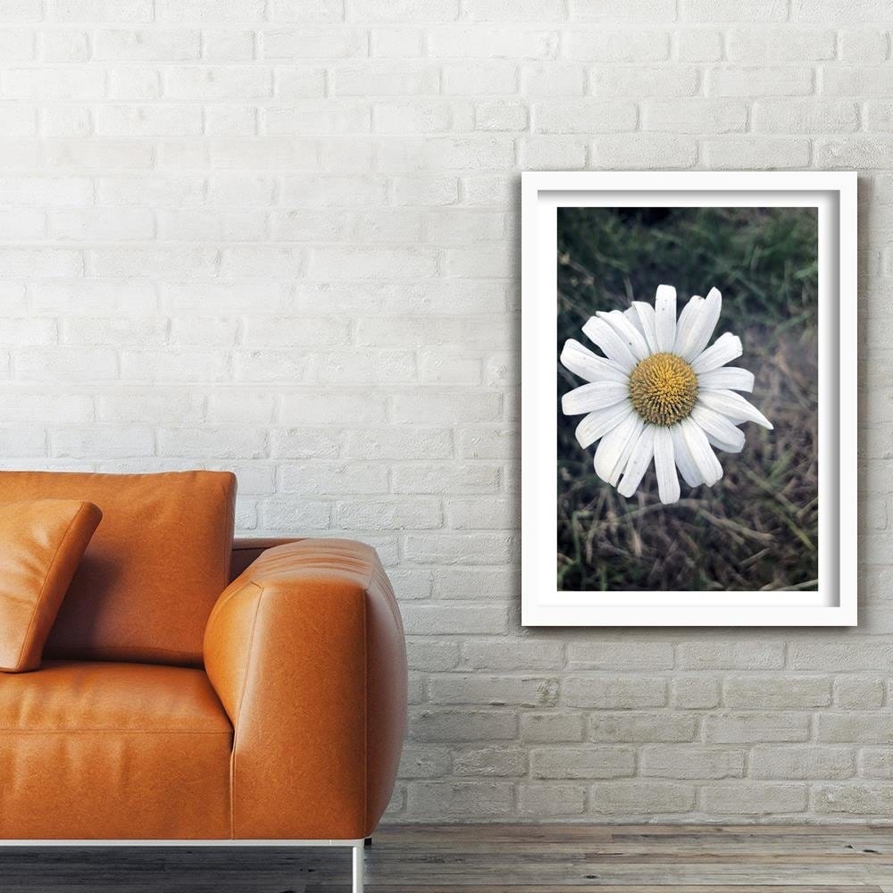Glezna baltā rāmī - Chamomile  Home Trends DECO