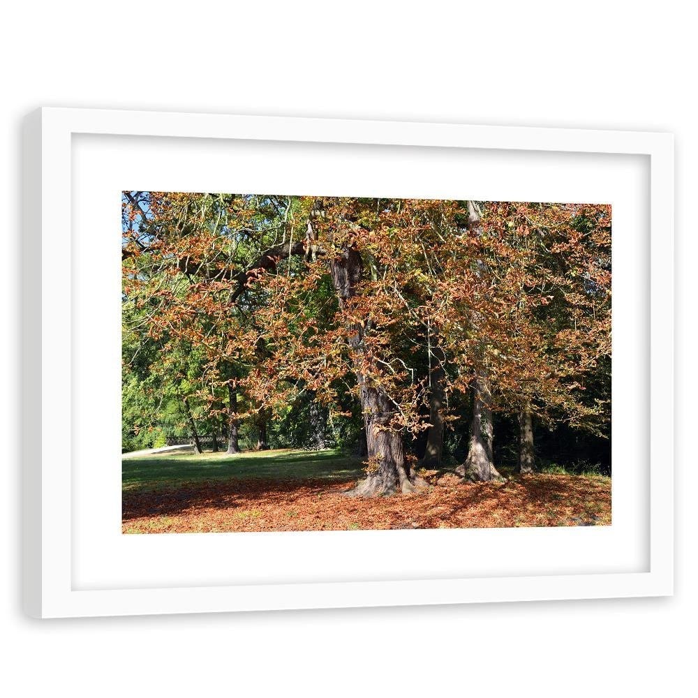 Glezna baltā rāmī - Chestnut Trees In Autumn  Home Trends DECO