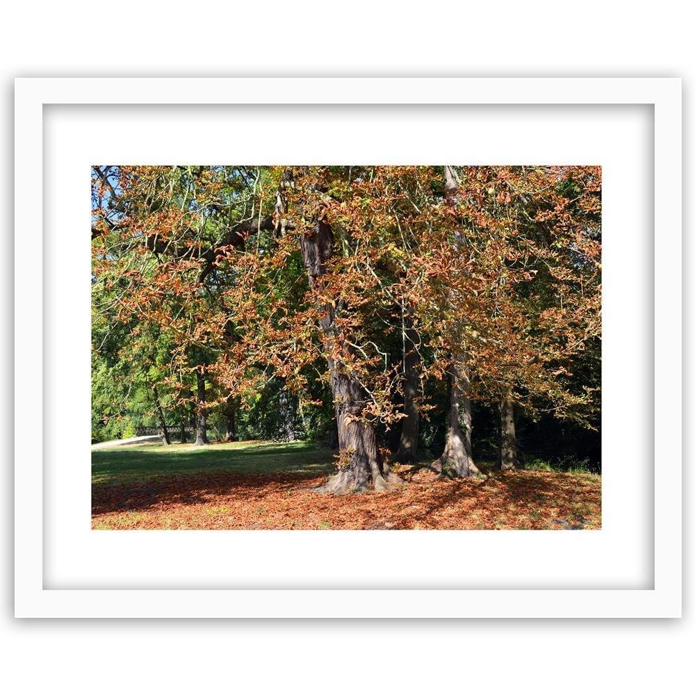 Glezna baltā rāmī - Chestnut Trees In Autumn  Home Trends DECO