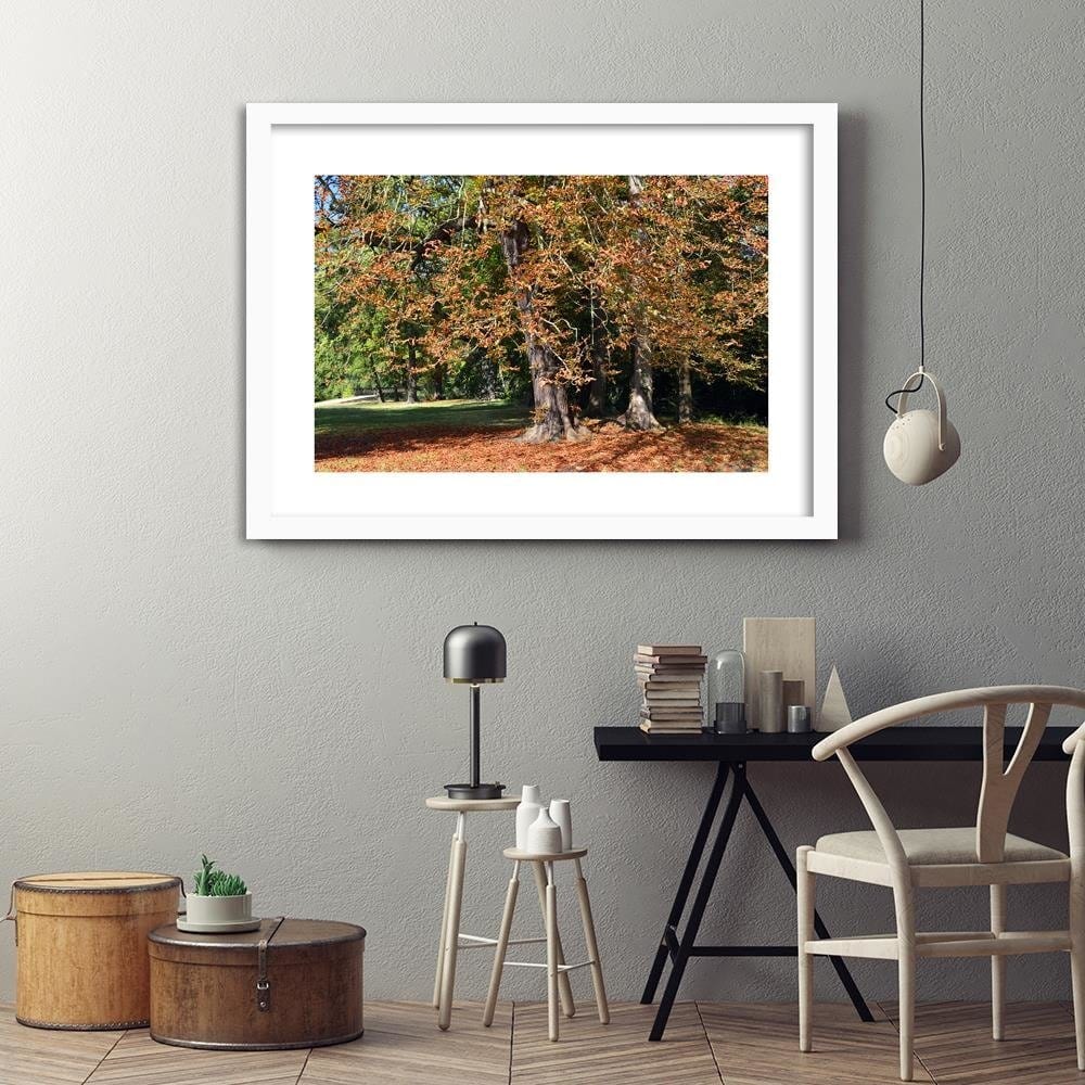 Glezna baltā rāmī - Chestnut Trees In Autumn  Home Trends DECO