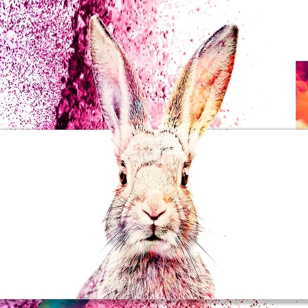 Glezna baltā rāmī - Colored Rabbit  Home Trends DECO