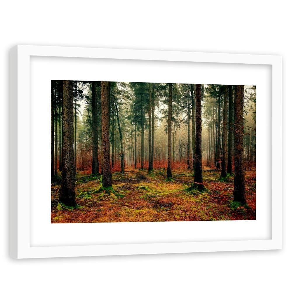 Glezna baltā rāmī - Colorful Forest  Home Trends DECO