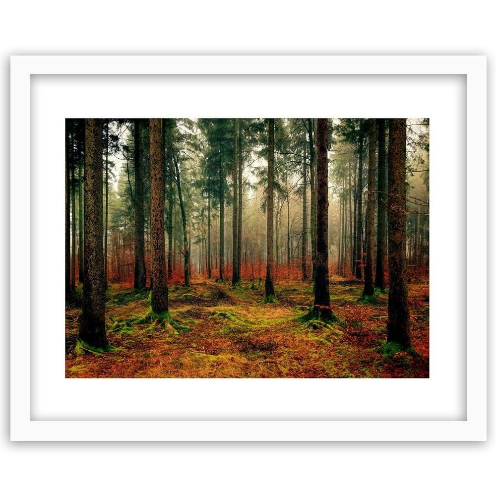 Glezna baltā rāmī - Colorful Forest  Home Trends DECO
