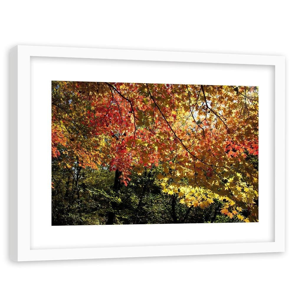 Glezna baltā rāmī - Colorful Leaves  Home Trends DECO