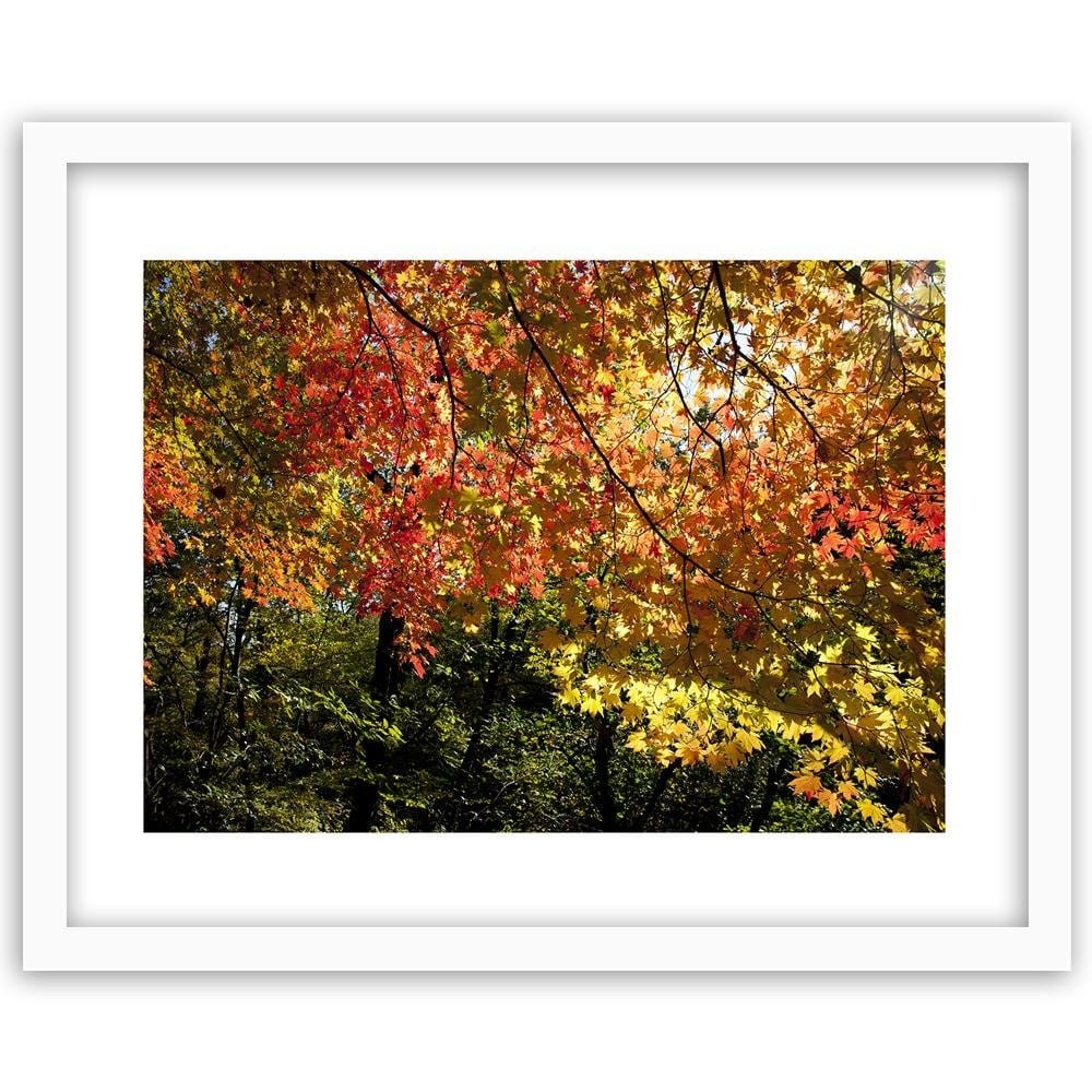 Glezna baltā rāmī - Colorful Leaves  Home Trends DECO