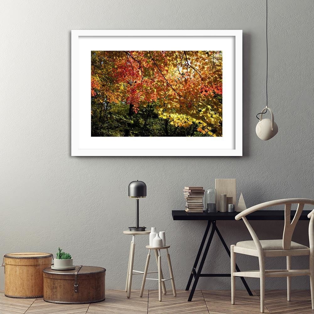 Glezna baltā rāmī - Colorful Leaves  Home Trends DECO
