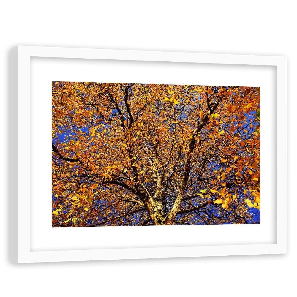 Glezna baltā rāmī - Colorful Leaves On A Tree  Home Trends DECO
