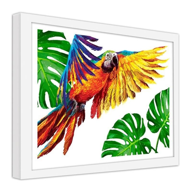 Glezna baltā rāmī - Colorful parrots  Home Trends DECO