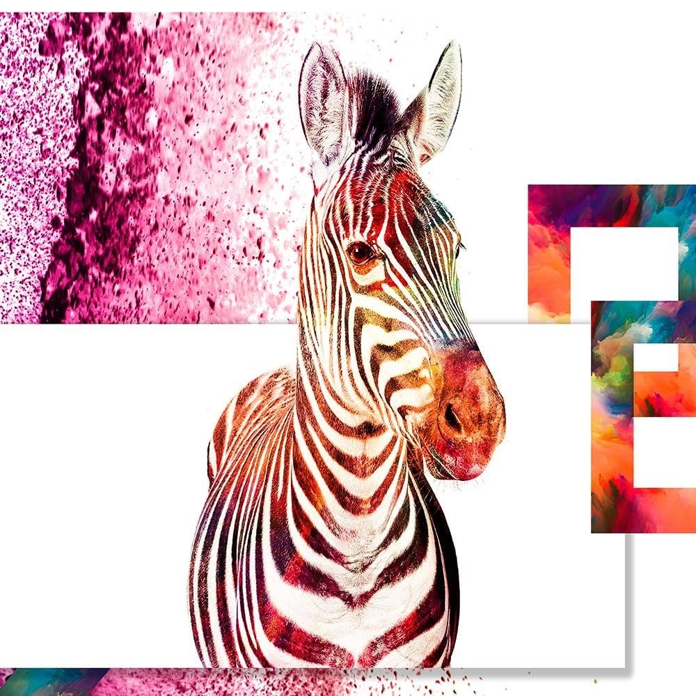 Glezna baltā rāmī - Colorful Zebra  Home Trends DECO