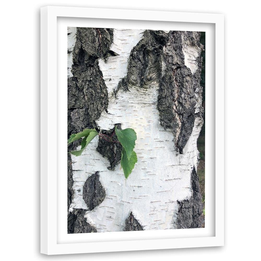 Glezna baltā rāmī - Colors Birch  Home Trends DECO