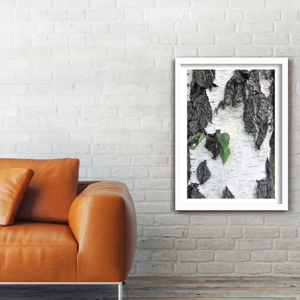 Glezna baltā rāmī - Colors Birch  Home Trends DECO