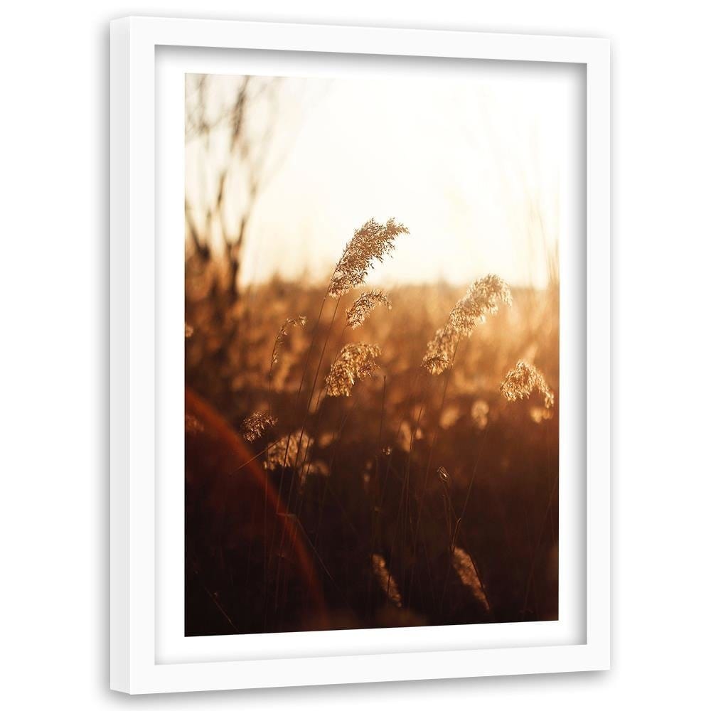 Glezna baltā rāmī - Corn In The Sun  Home Trends DECO