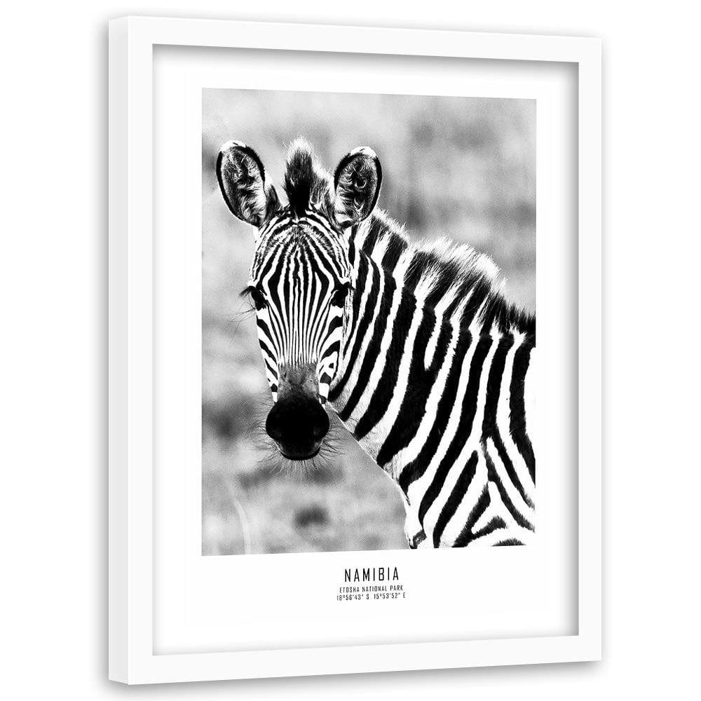 Glezna baltā rāmī - Curious Zebra  Home Trends DECO
