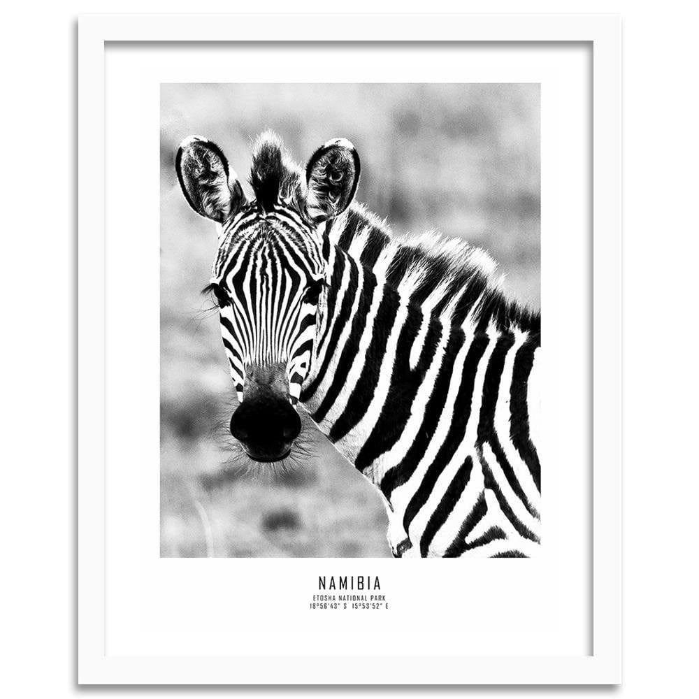 Glezna baltā rāmī - Curious Zebra  Home Trends DECO